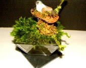 SALE-Preserved Mood Moss Open style Terrarium and mushroom Bird in a Glass and soapstone Centerpiece-Wedding Decor
