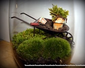 DIY Wheelbarrow or Wagon terrarium kit-Live Moss-Rustic wheelbarrow-Small moss pots-small garden tools-GLASS is NOT included