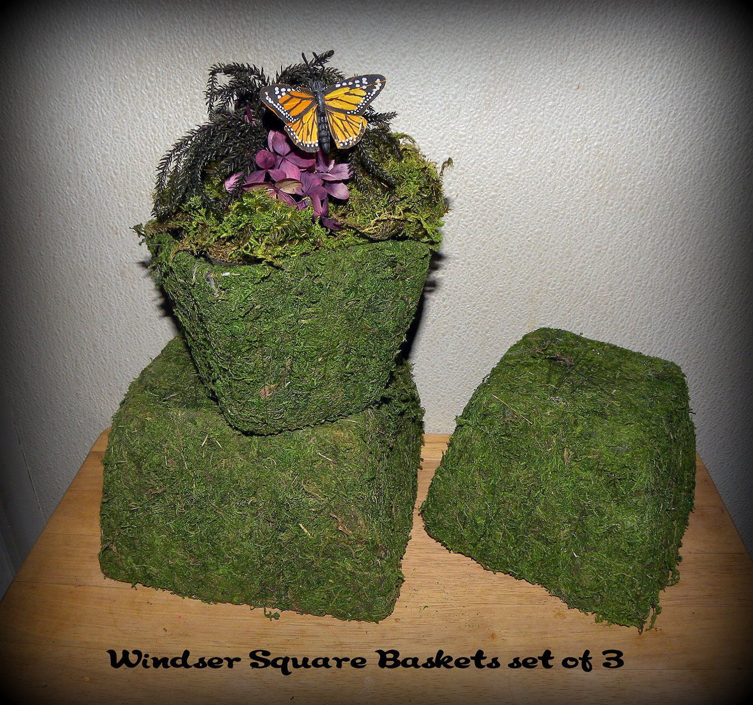 Moss baskets Windsor Set of 3 Moss Basket planters-Wedding decor-Bonsai-Orchid Baskets-Soft green preserved moss