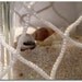 Fish Net Treasure Bottle - Can Be Turned Into a 'Message In A Bottle' - See Details Below