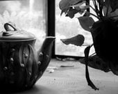 Tea Pot with Prayer Plant (Still Life) 8x12 Fine Art Black and White Photograph
