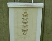 Vintage Hanger Picture Holder / White