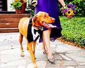 Dog Tuxedo Bow Tie Wedding Special Event Pinstripe