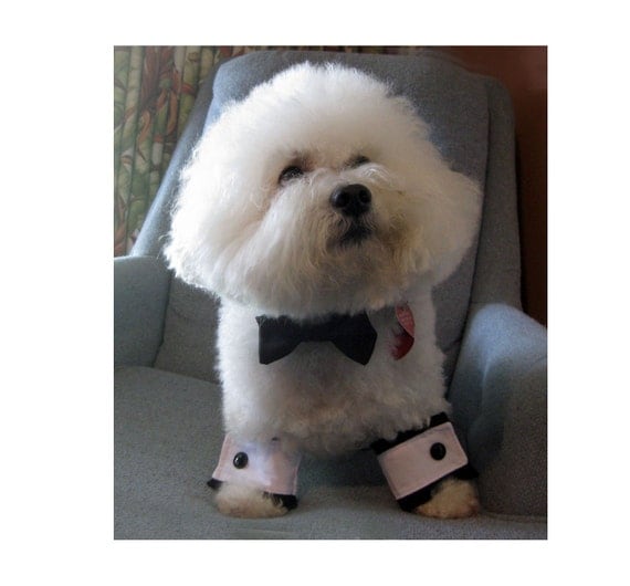Dog Bow Tie and Cuffs Set Black Satin Wedding Formal Wear
