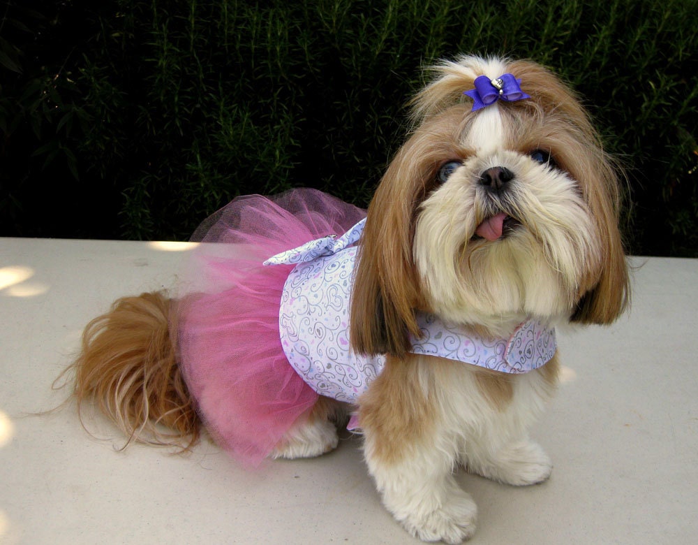Dog Dress Hearts Pink Silver Tutu Wedding