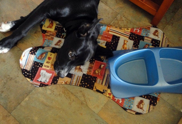 Pet Mat Dog Placement - love my dog