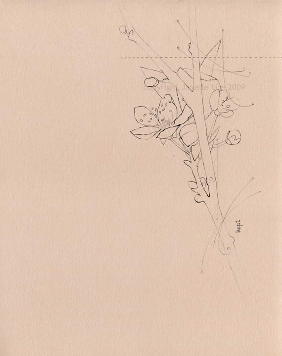 Original flower pencil drawing - Kept, crabapple blossom line drawing on neutral beige paper