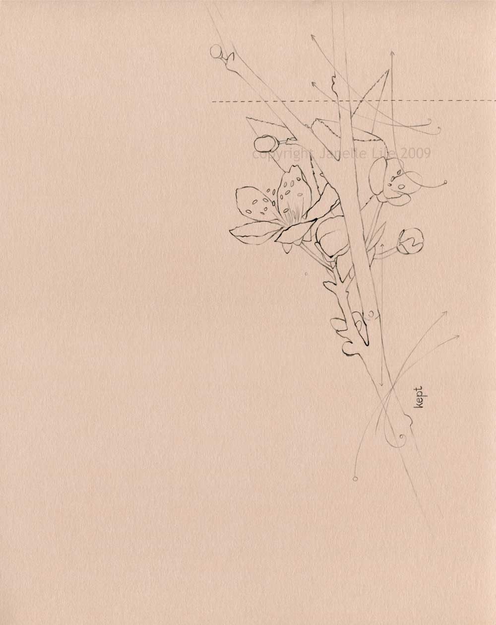 Original flower pencil drawing - Kept, crabapple blossom line drawing on neutral beige paper