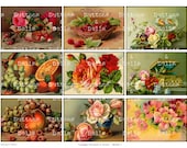 Digital Scrapbook -  Vintage Fruit - Victorian Flowers - ATC - 2.5x3.5" - Scrapbooking - Card Making - Collage Sheet