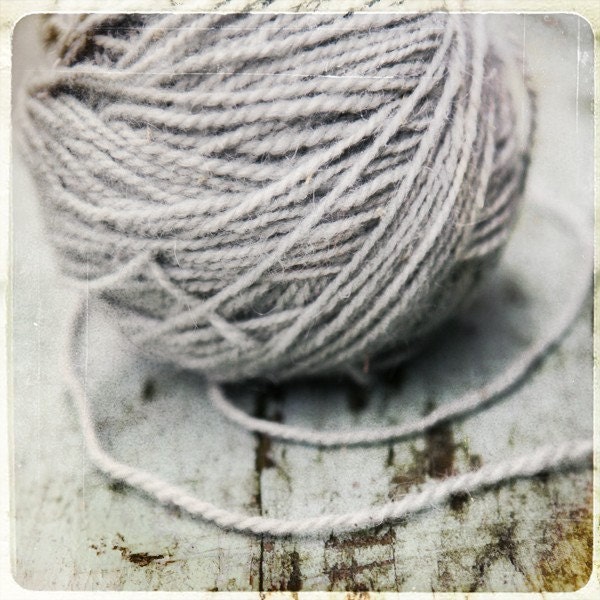 Ball 'O Wool - 8X8 Fine Art Print