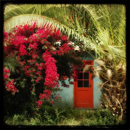Secret Garden, hidden red door, pink bouganvillia, palm trees - 8X8 Fine Art Print