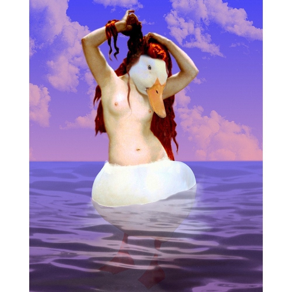 Mermaid Duck Variation 8x10