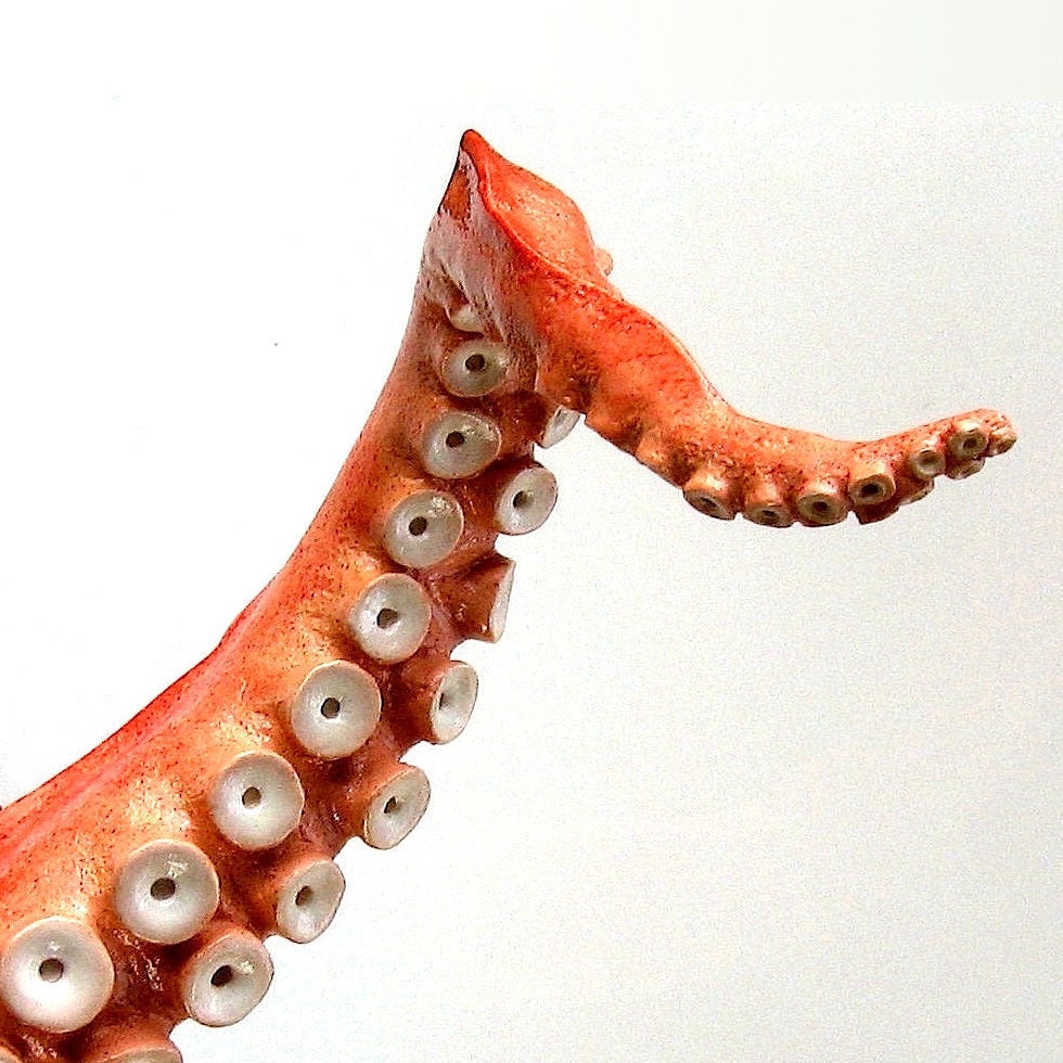 Steampunk Tentacle Art, Octopus Arm Sculpture, Faux Taxidermy, Nautical Decor