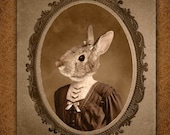 5x7 inch Hot DigitalDog Little Bunny Girl Juliet