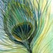 Peacock Feather Study - Original Watercolor