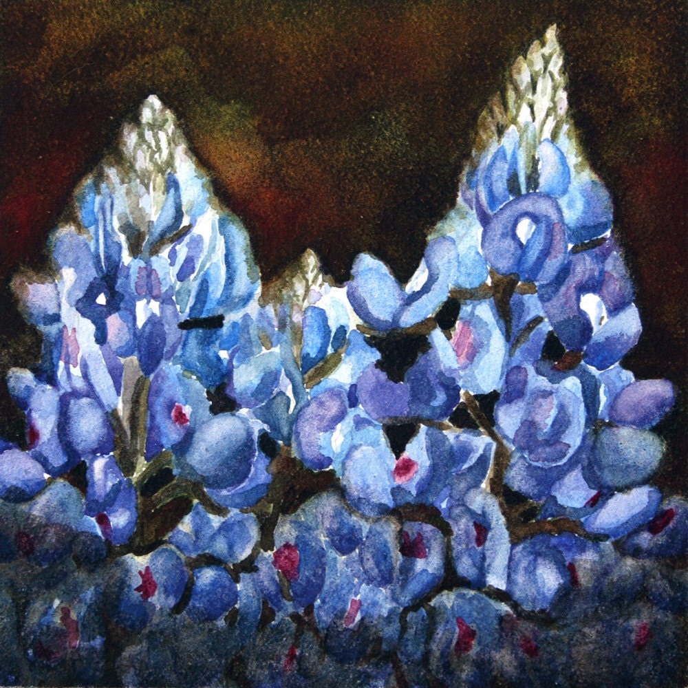 Print of Texas Bluebonnet watercolor