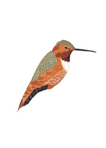 Allens Hummingbird 5x7 Print