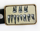 Belt Buckle Steampunk Gothic Teeth FREE SHIPPING