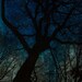 Night Descends on the Mountain with Cyanotype