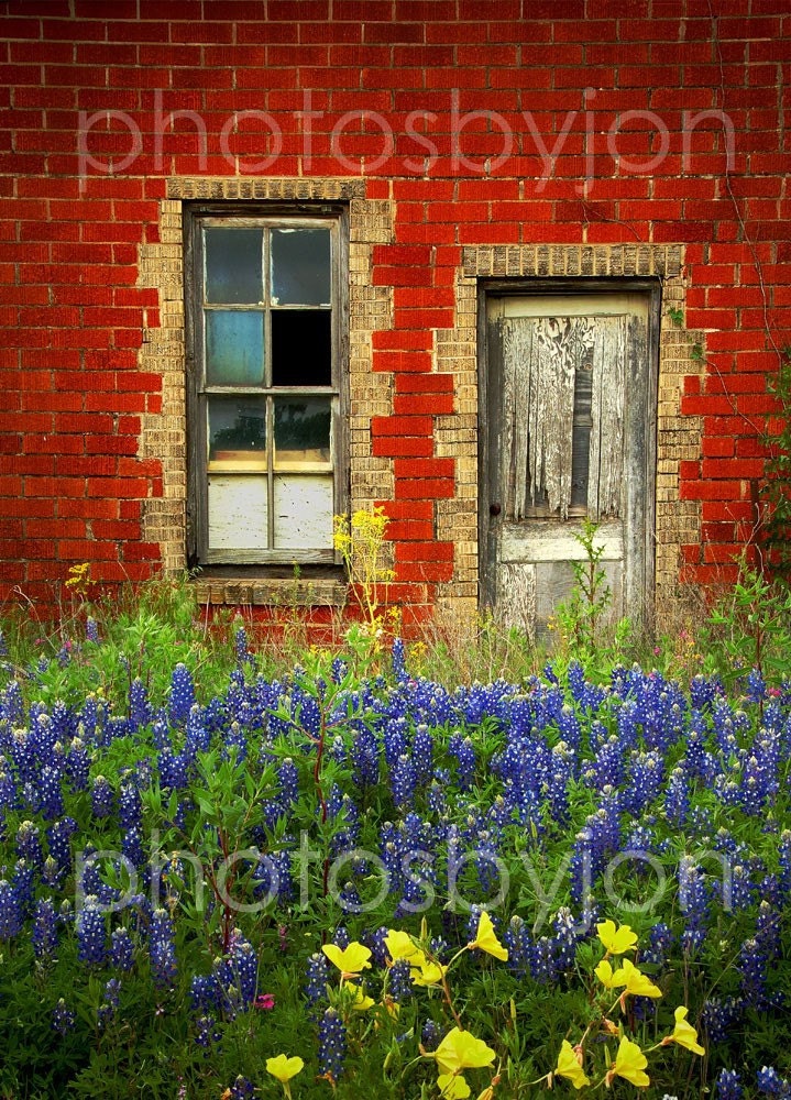 Beauty and The Door- 8 x 11 signed original photograph - Texas Wild Flowers Landscape, Award Winner