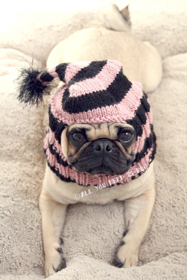 Dog Hat - Custom Stocking Cap