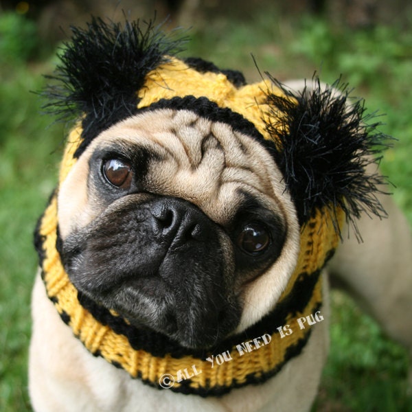 Dog Hat -  Bumble Bee Hat - The Original Pug Hat