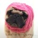 Custom Cabbie Dog Hat