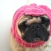 Custom Cabbie Dog Hat