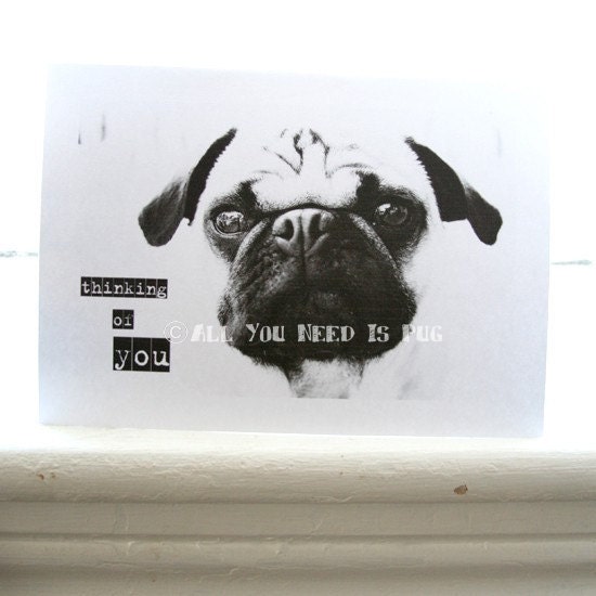 Thinking of You Pug Greeting Cards - Set of 4