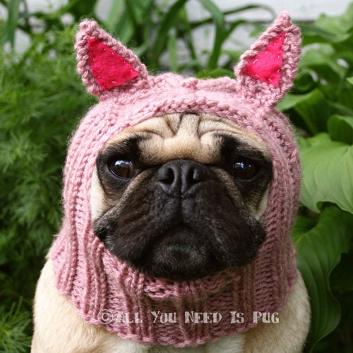 Dog Hat - Piglet Hat