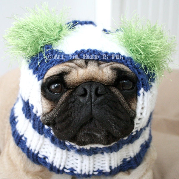 Custom Snuggly Dog Hat