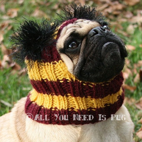 Custom Snuggly Dog Hat