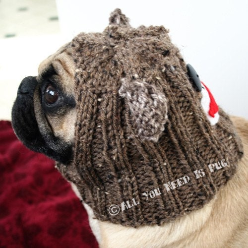 Dog Hat - Sock Monkey Hat