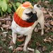 Dog Hat - Custom Snuggly Hat - The Original Pug Hat