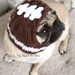 Football Helmet Dog Hat