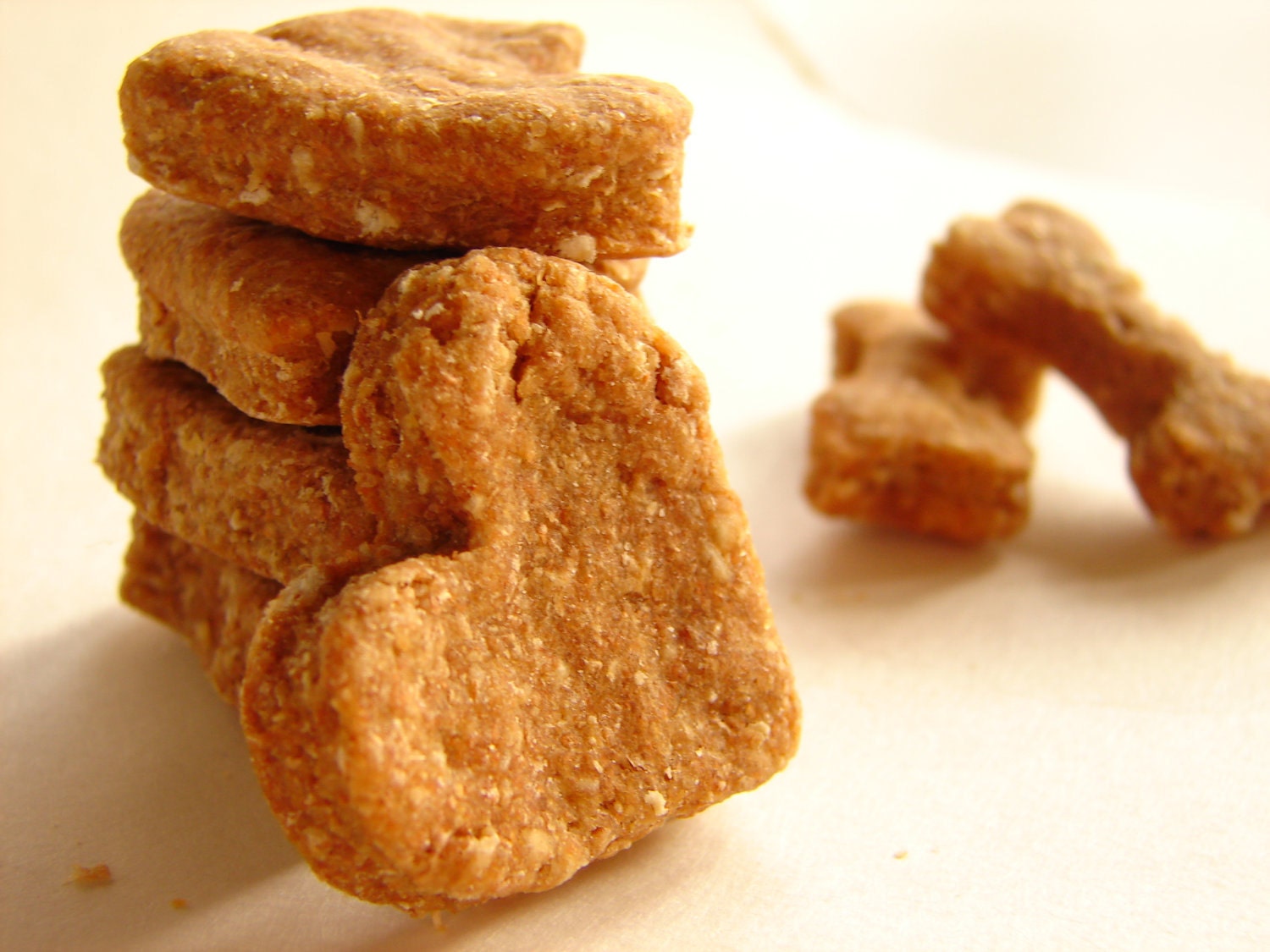 Anti-Fart Dog Cookie-- High Nutrient Vegan Dog Biscuit, Puppy Treat, Perfect for All Dog Breeds-1lb
