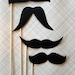 Movemeber Mustache on a Stick Collection - Set of Eight Mustaches on a Stick