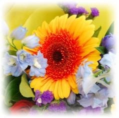 Etsy Banner Spring Flowers