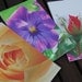 Flower Notepads - photographic viola and rose design - set of three