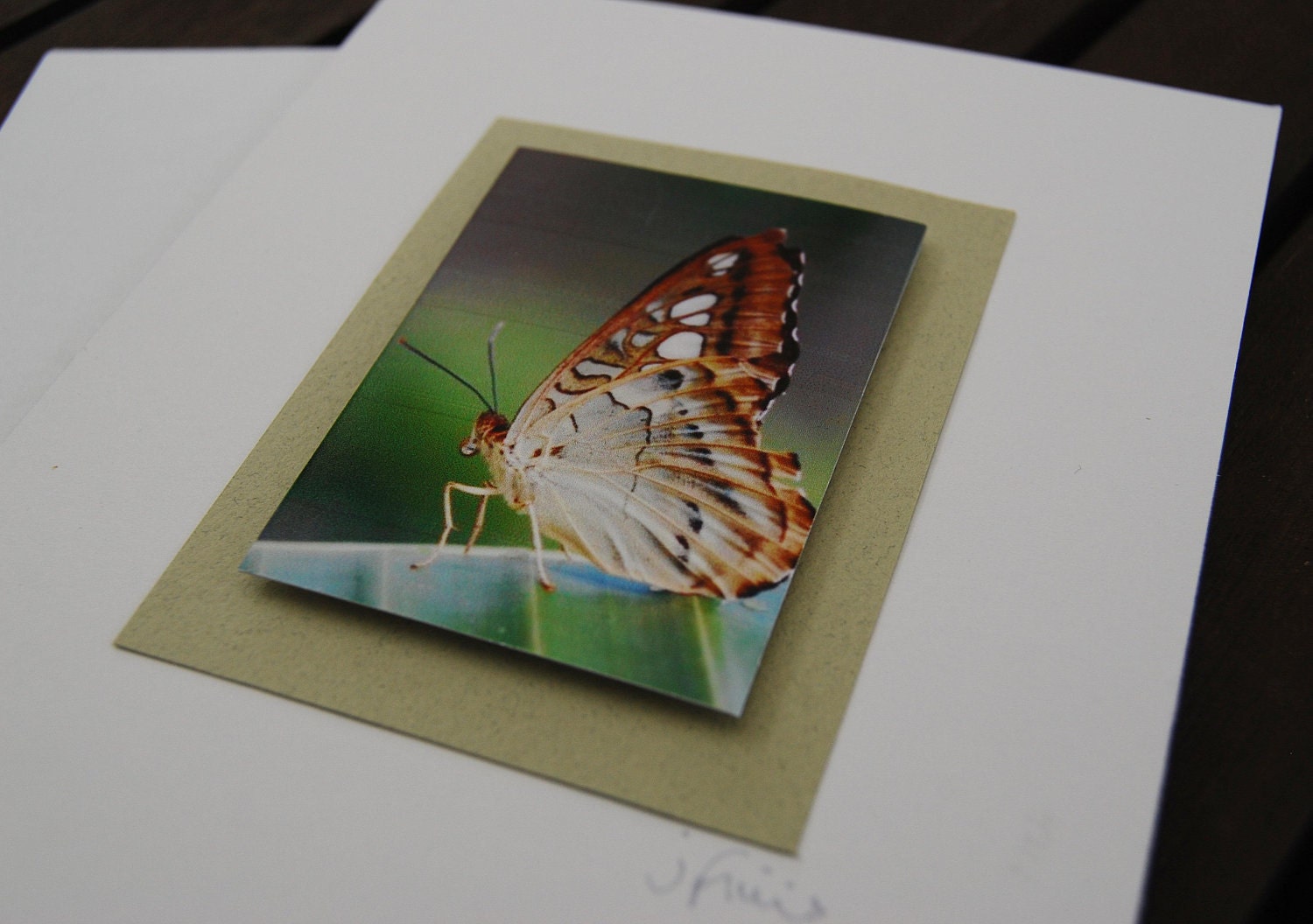 Butterfly card 3D photographic print - nature theme