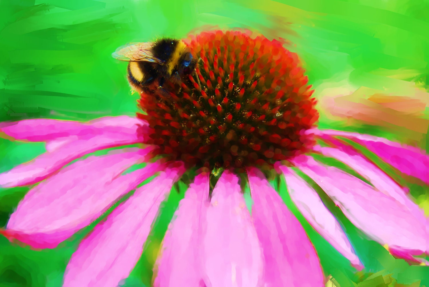 Bumble bee and echinacea flower print - Printable digital downloadable fine art wall art home decor