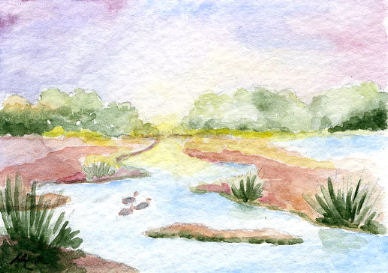 ACEO Original Watercolor Duck Marsh Country
