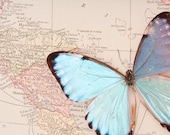 Vintage map of Central America with Blue Morpho