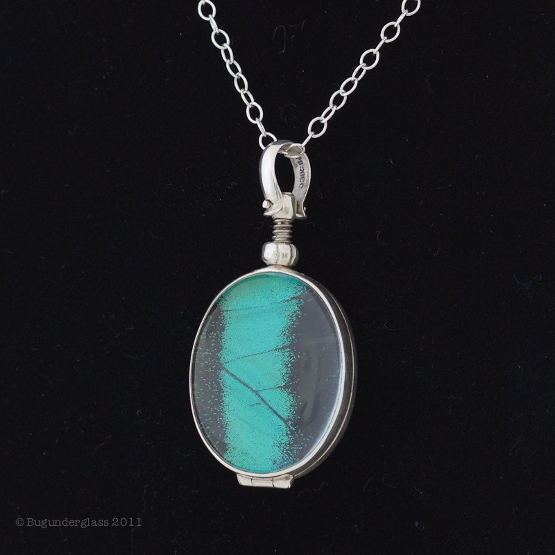 Green Peacock Swallowtail Butterfly Wing Jewelry
