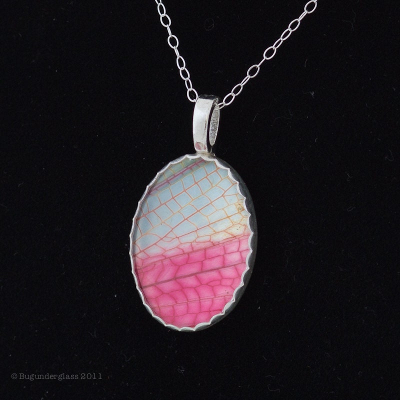 Real Pink Grasshopper Wing Necklace Sterling Silver