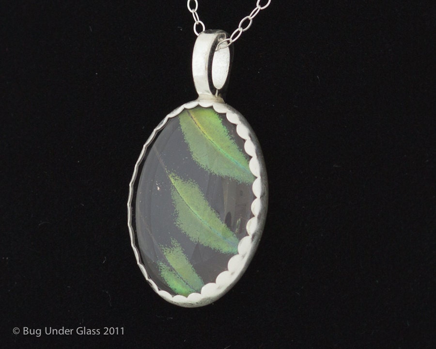 Birdwing Butterfly Necklace Sterling Silver