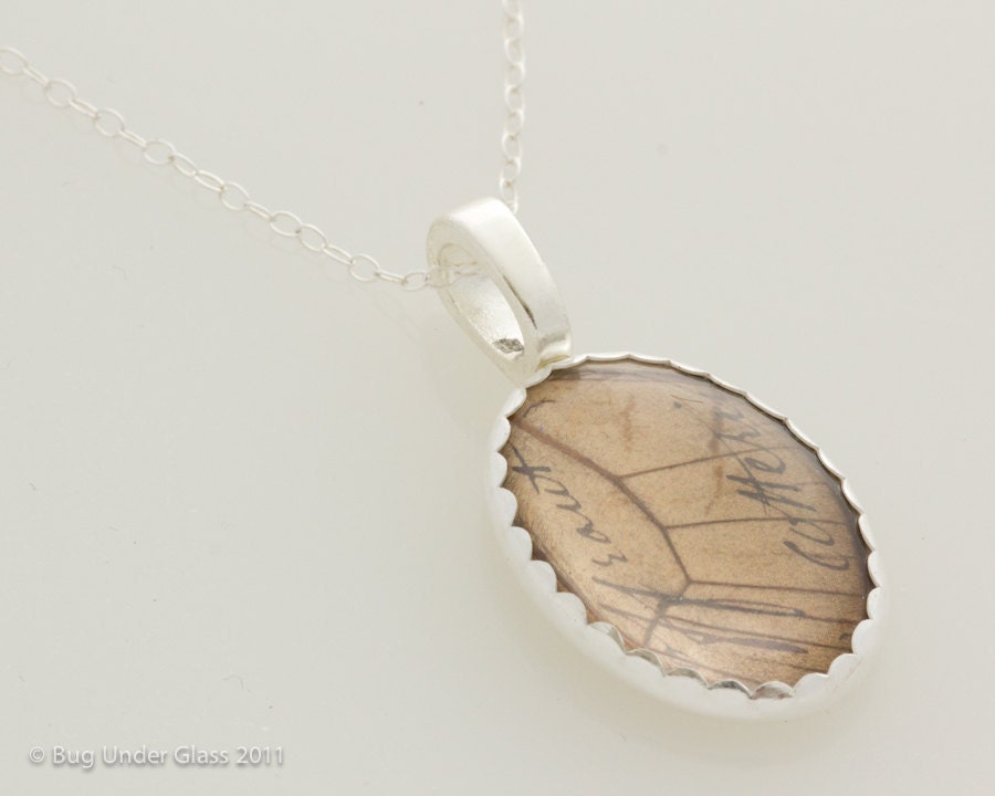 Real Butterfly Wing Jewelry with Vintage French Writing
