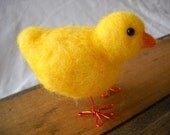 Chick