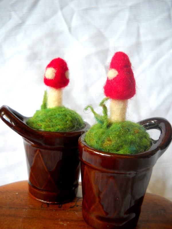 Tiny Pot O' Mushroom