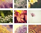 DISCOUNT SET - Nature Flower Photograph Set - Set of 9 4x4 Instant Home Decor Wall Art romantic dreamy green pink yellow bright bold purple